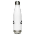stainless steel water bottle